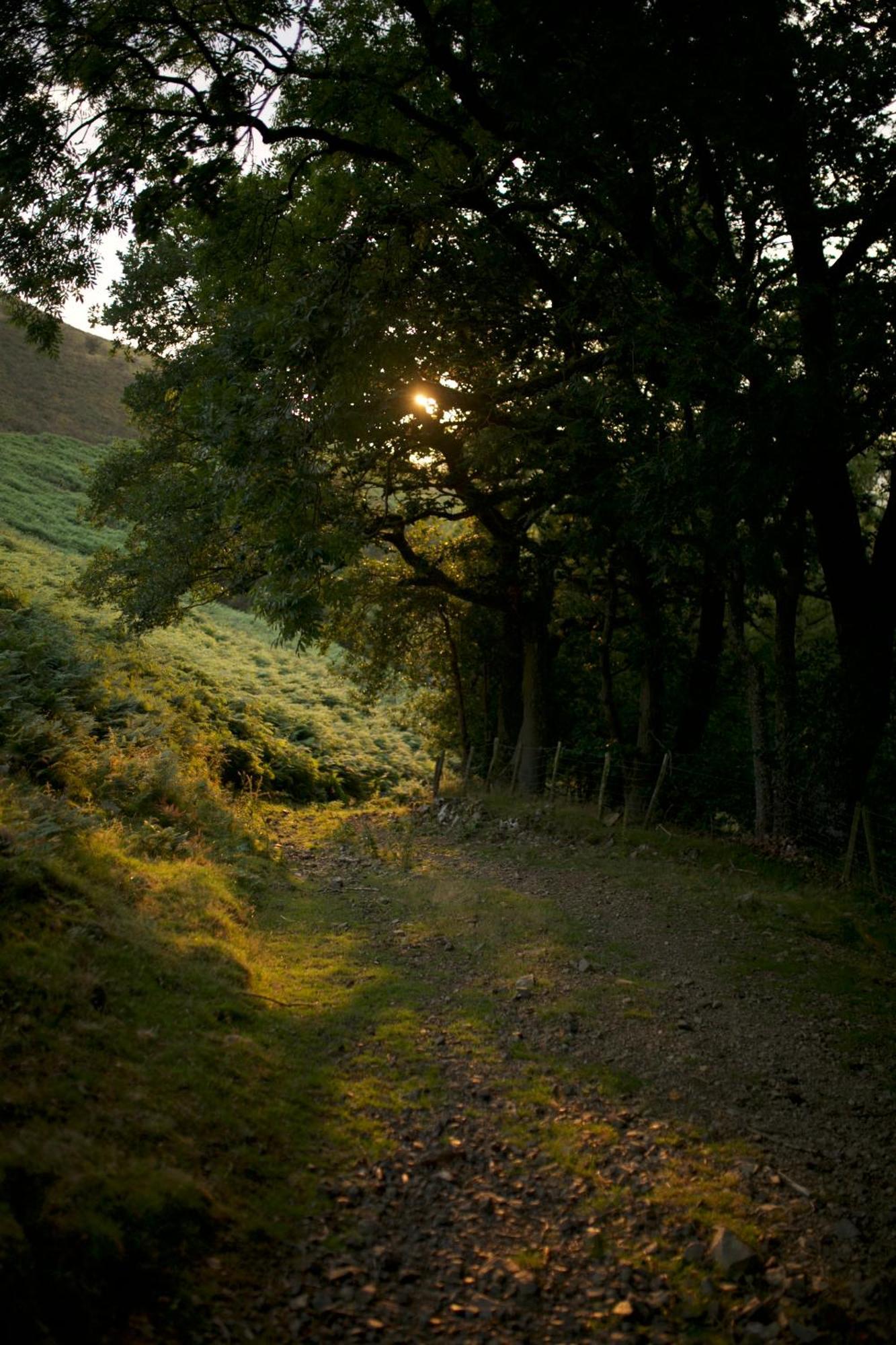 Two Unique Cabins Wrapped In Beautiful Welsh Scenery Presteigne Extérieur photo