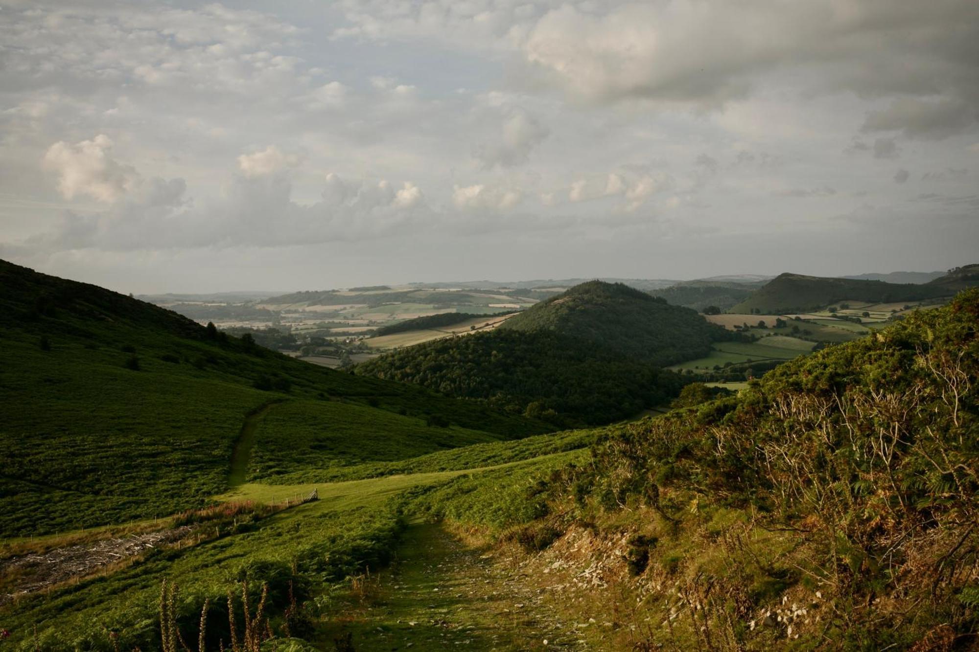 Two Unique Cabins Wrapped In Beautiful Welsh Scenery Presteigne Extérieur photo